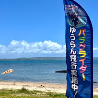 モールです。