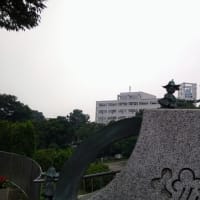 久しぶりの相模原公園