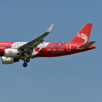 長竜航空の特別塗装機　福岡空港
