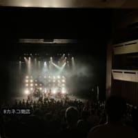 kanekoayano Hall Tour 2025 “⽯の⽷” 静岡