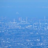最近はと言うより今年は？