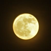フラワームーンの満月