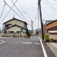 東海道53次　大津宿　東海道57次　分岐点　枚方宿　2猫食事