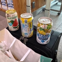 20205.06.30　松山〜岡山〜名古屋〜三重に戻りました