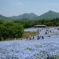 また、まんのう公園を訪れた