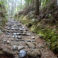 エックスで熊野古道中辺路シリーズをポストしました