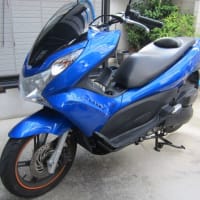 PCX修復とカジュアルテープでライン入れ - 晴れた日にバイクみたいな乗り物でどこかに行こう