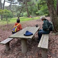 第29回ハイキングおじさんに行こう！　の再度公園とアジサイ巡り 下見編