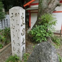 「神戸　生田神社その５」