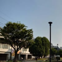 今日の博多３４８　【参院選公示日】
