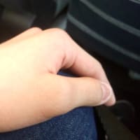 いままでの画像総集編1