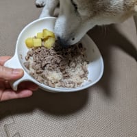クリンへの想いは尽きなくて・・・296