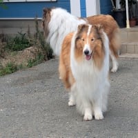 18ジャスミンキッズ　お誕生会　後編