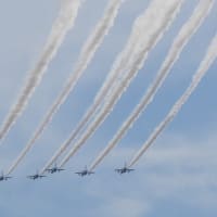 大阪城公園でブルーインパルス