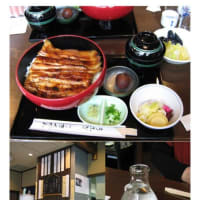 散策(食事編584)　｢東京中心南－756｣　　神田きくかわ 第一ホテル東京店