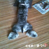 アニマルコミュニケーション④