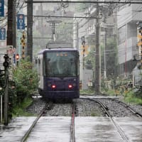雨の朝