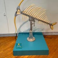 明和電機「ナンセンスマシーン展」（札幌国際芸術祭2024/SIAF2024）