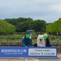 しゅうへい 昭和記念公園デビュー～＾＾