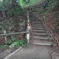 久し振りに金剛山に登った３