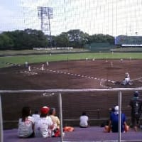 全国高校野球京都大会、少し観戦