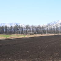 根室・釧路の旅(1)―2025年4月18、19日