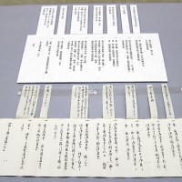 大河ドラマ「べらぼう」…１１代将軍家斉誕生