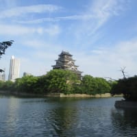 梅雨の谷間？広島城のお堀端をテクテク散歩！広島の街は３０度！夏日のため少し汗ばんできました・・・もう少し歩いて帰ります！