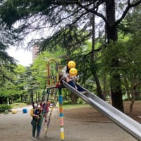 2023年4月2回目