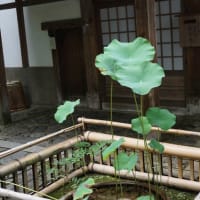 抱きしめて涙をぬぐってあげて