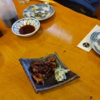 ５月１２日鶴舞公園テニスコートの後は毎度ながら