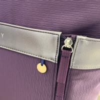 SWANY  新作 KANTOU 間道入荷❣️