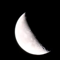 大船フラワーセンター６月の花散歩２