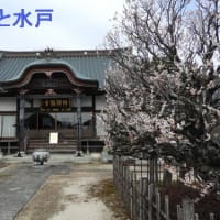 水戸の花と史跡等(5)