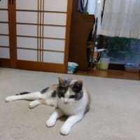 気配が気になる