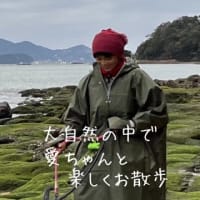 🌅新年に向けて☯️