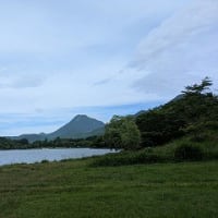 小鹿山から神楽女湖のはなしょうぶへ　子白鳥。小鹿にも出会う。