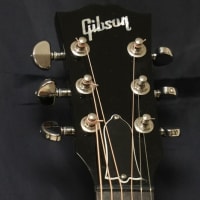 Gibson J-45 2020年モデル　あいみょん – マリーゴールド【AIMYON BUDOKAN -1995-】