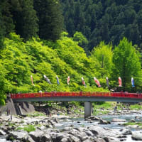 目には青葉．．．新緑の香嵐渓②