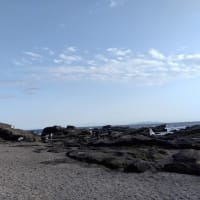 みさきまぐろきっぷでプチ旅行