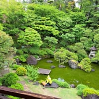 懐かしさと日常離脱・・新潟への旅
