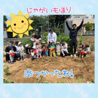 じゃがいもほりしました！