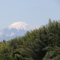 今日の・・・