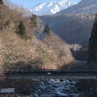 ヨーデル日記