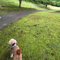 ヅウタ親水公園にて