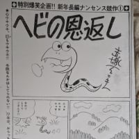 赤塚不二夫レア作品レビュー　その⑧　『ヘビの恩返し』（「リイドコミック」77年１月６日号）