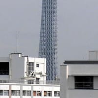 ２０２５／７／５の朝の東京スカイツリー