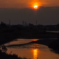 6月20日(木) 暗闇散歩の三日月と日の出