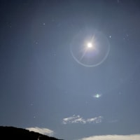 近況など  １）