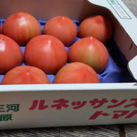 町内さわやかクラブ（老人会）の誕生会　2024年の前半を振り返って　甥っ子からトマトが届きました。